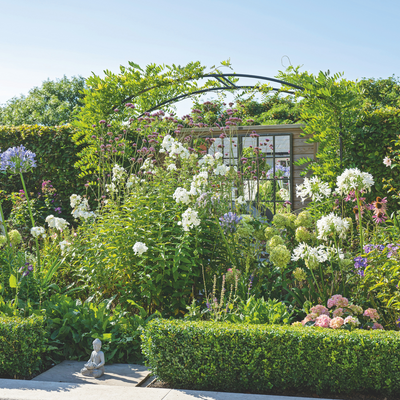 3 stylish shrubs that'll instantly elevate your garden – they'll make it look like the grounds of a boutique hotel