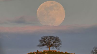 How to catch the perfect full moonrise — just in time for the Blue Moon show on May 30