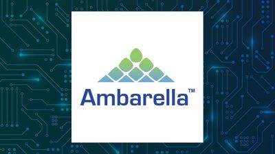 Ambarella Q1 Earnings Call Highlights