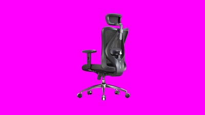 I've reviewed chairs that cost $2,000... I'd buy this $132 chair instead