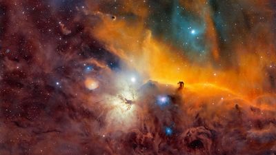 Astrophotographer spends 115 hours capturing Horsehead Nebula in striking detail with backyard telescope