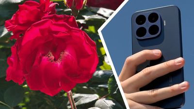 ‘Nothing in its class comes close’: the Xiaomi 17T Pro is being called ‘the telephoto master’, but how does its 5x zoom perform in reality? I took over 500 photos to find out