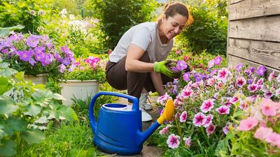 I tried a '30-minute garden reset' and it's totally transformed my outdoor space just in time for summer