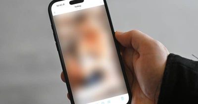 'Curious' officer sought gigabytes of abuse material