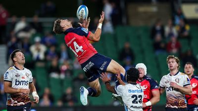 Time for Lomax Wallabies watch as Force's season ends