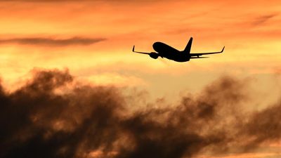 'Not loved out there': senator blasts airline bosses