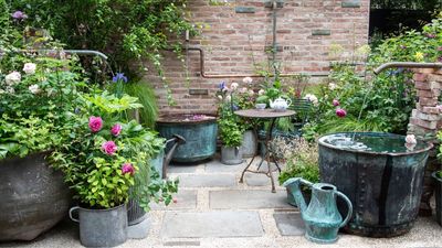 What’s Replacing Traditional Garden Decks? Experts Say This Sustainable Alternative Is Reshaping Modern Yards