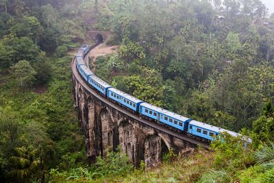 Sri Lanka scraps visa fees for visitors from 40 countries – including the UK