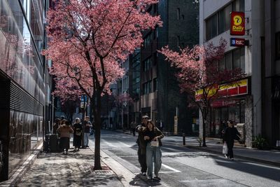 Japan’s population suffers record five-year drop as government fails to halt decline