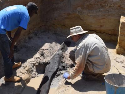 Scientists found ancient logs locked together, and it changed the story of early humans