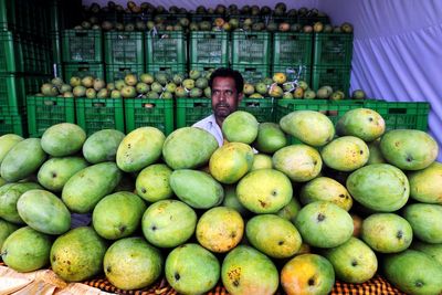 Japan ban imports of Indian mangoes after key processing facility fails inspection