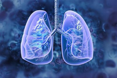 Air pollution slows lung growth during childhood, research shows