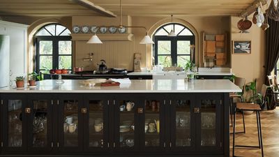 The One High-Traffic Kitchen Spot You’re Forgetting to Clean – And How to Sanitize It Without Harsh Chemicals