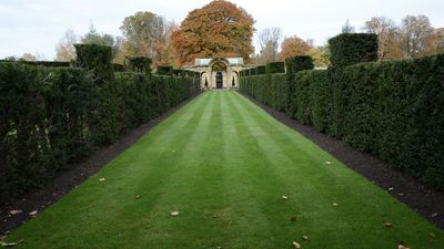 5 simple steps to create perfect lawn stripes – and the best kind of mower to achieve them