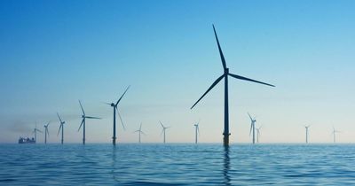 In Common: Why Scotland's seabed is worth more than this