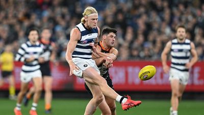 Cats won't blame loss on goal umpire 'howler'
