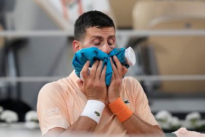 Novak Djokovic squanders huge lead as he suffers shock loss to Brazilian teenager at French Open