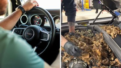 Man’s Car Refuses To Start. Then The Mechanic Opens The Hood: ‘Turns Out It Was Occupied’