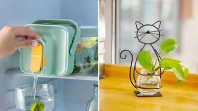 The coolest new stuff that's getting wildly popular on Amazon