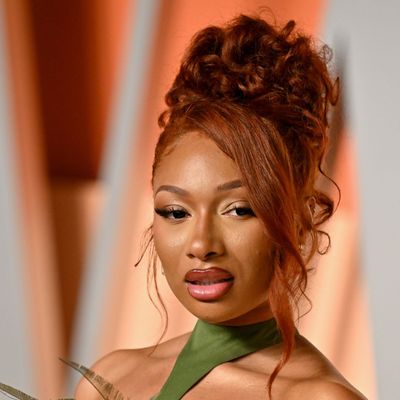 Megan Thee Stallion's High Ponytail Is Honestly Perfection