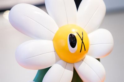 Blooming joy
