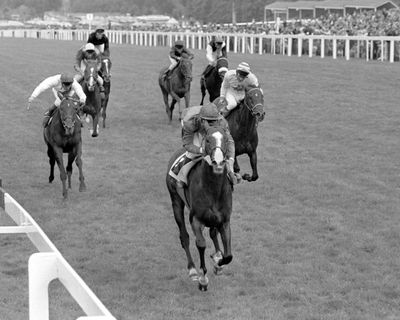 TV tonight: the weird, wild story of kidnapped racehorse Shergar
