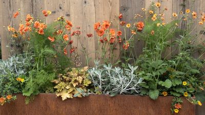 What to Plant in June for a Full and Flourishing Summer Garden
