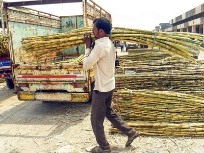 Centre withdraws draft sugarcane order after objections from states, stakeholders