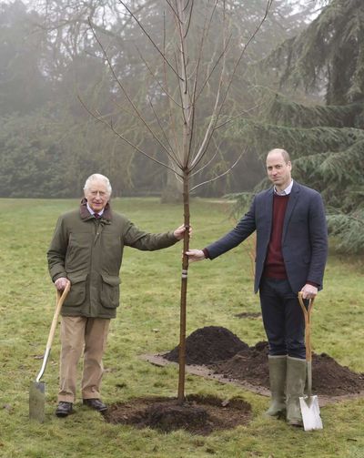 How the Queen’s Green Canopy turned Jubilee tree planting into a living royal tribute