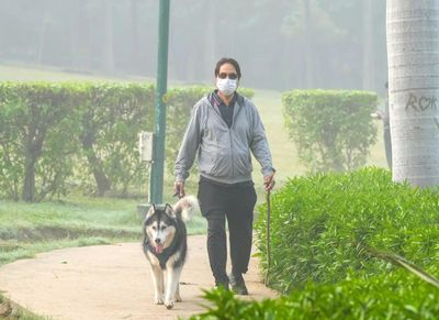 Delhi to likely get first pet park this year as city munic revives stalled project