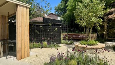 Sorry Trellis, but This Landscape Designer Found a More Stylish Way to Add Screening to Grow Plants Up for This Beautiful London Garden