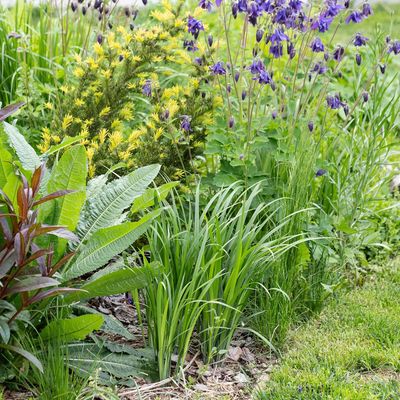 The easy 70/30 planting rule is the clever trick garden experts use to make your flower beds look professionally designed and fuller all year round