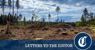 Is climate education doing more harm? Absolutely not