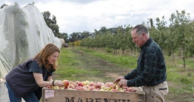 'It's bittersweet to sell': Goulburn Valley fruit empire hits the market for $24m