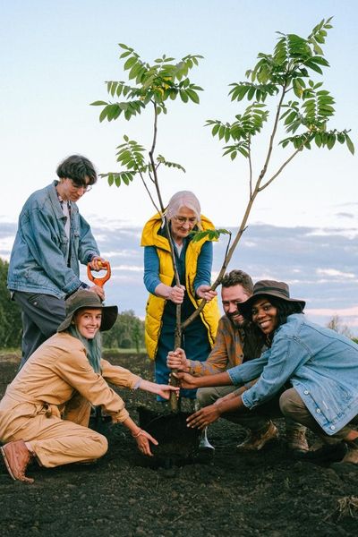 The ‘Rewilding’ Weekend: Why Some Seniors Are Choosing Local Restoration Projects Over Traditional Spa Days