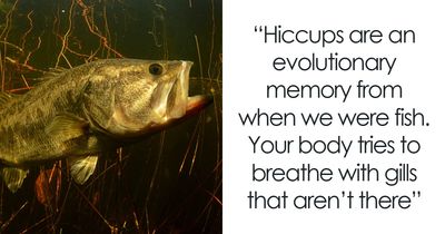 48 Facts People Know Are True, But They Still Shock Them