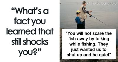 48 Facts People Know Are True, But They Still Shock Them