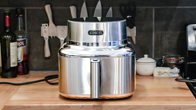 I cooked a variety of delicious meals in the Cosori Iconic Air Fryer, and it has earned a permanent place in my kitchen