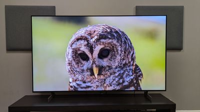 'A great OLED TV with a few frustrations': I reviewed the LG B6, and it brings some much needed extra brightness to the B-series for HDR punch — but it's a shame a few things hold back it from perfection