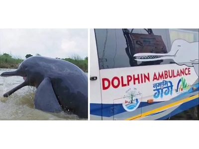 "A ray of hope": PM Modi hails 'Namami Gange Abhiyan' initiative for saving trapped Gangetic dolphin in UP
