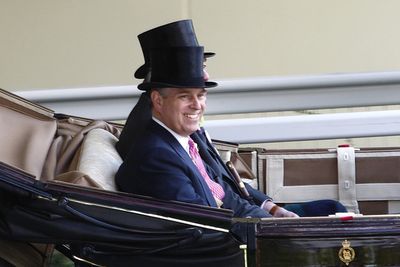 Palace was given Andrew’s 30,000 trade envoy emails in May 2020