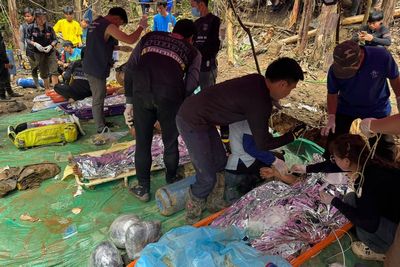 Heavy rain hits search for two villagers still trapped in Laos cave