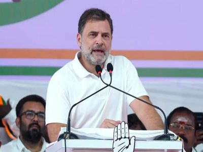 'Revealing chat with fellow anti-national Soros agents': Rahul Gandhi's dig at govt over CBSE OSM row