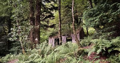 Isle of Mull walk exploring relationship of people and nature launches
