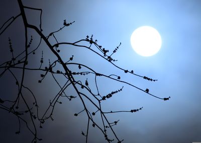 What Is The Blue Full Moon? Meaning, Where To Watch And Is It Really Blue
