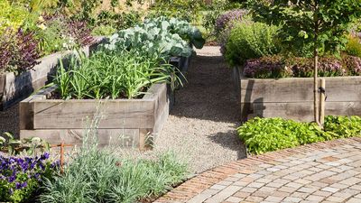 This Is the Exact Temperature Your Soil Should Be Before Planting Vegetables – to Guarantee a Bumper Harvest