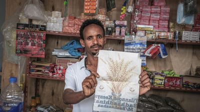 Ethiopia election overshadowed by war, instability and muted opposition