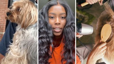 ‘They refuse to help me’: Georgia woman brings her dog to Pet Paradise groomer and daycare. Then her dog’s legs stop working