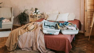 Don’t put suitcases on your bed! Mattress expert reveals how to avoid bringing bed bugs home after travelling