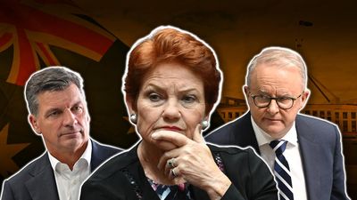 Poll topper Hanson wants to lead Aussies who assimilate